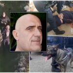 [Aggregator] Downloaded image for imported item #73568