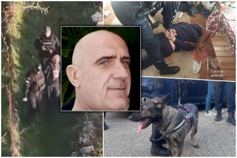 [Aggregator] Downloaded image for imported item #73568