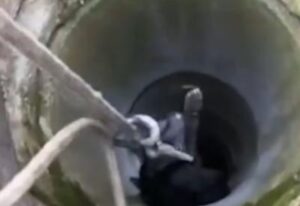 [Aggregator] Downloaded image for imported item #58977