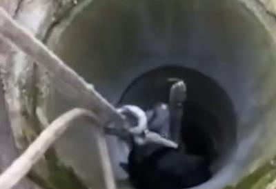 [Aggregator] Downloaded image for imported item #58977