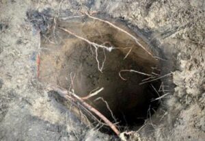 [Aggregator] Downloaded image for imported item #85634