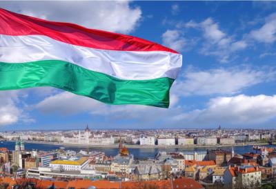 [Aggregator] Downloaded image for imported item #87257