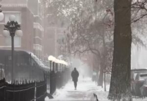 [Aggregator] Downloaded image for imported item #87236