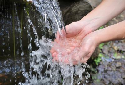 [Aggregator] Downloaded image for imported item #95081