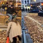 [Aggregator] Downloaded image for imported item #104001