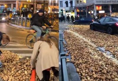 [Aggregator] Downloaded image for imported item #104001