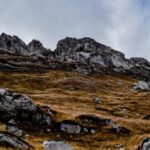 [Aggregator] Downloaded image for imported item #107750