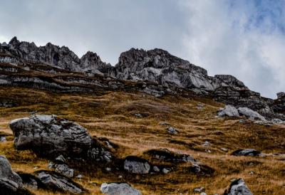 [Aggregator] Downloaded image for imported item #107750