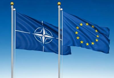 [Aggregator] Downloaded image for imported item #66603