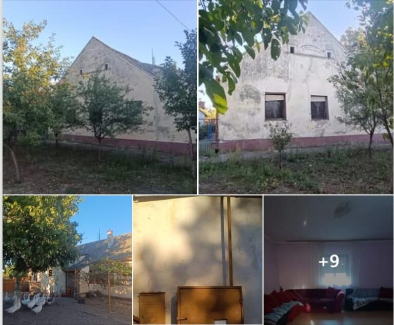 [Aggregator] Downloaded image for imported item #67603