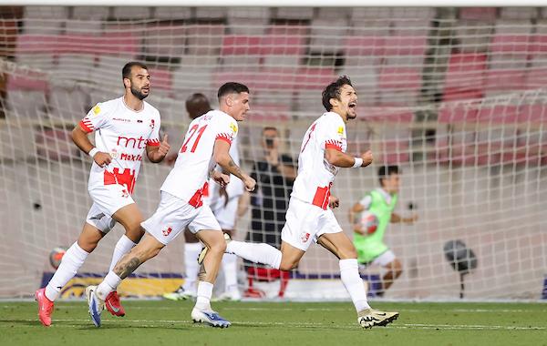 [Aggregator] Downloaded image for imported item #75176