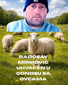 RADOSAV MIRKOVIĆ UHVAĆEN U ODNOSU SA OVCAMA