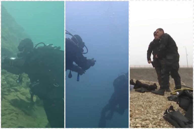 [Aggregator] Downloaded image for imported item #110890