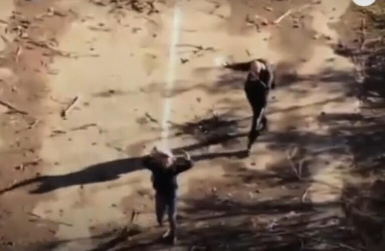 [Aggregator] Downloaded image for imported item #60708