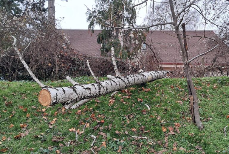 [Aggregator] Downloaded image for imported item #67705