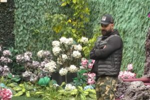 [Aggregator] Downloaded image for imported item #71200