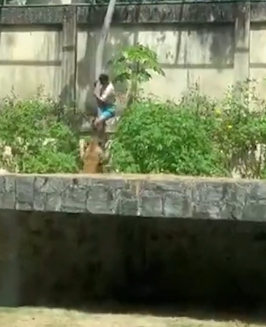 [Aggregator] Downloaded image for imported item #53357