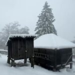 [Aggregator] Downloaded image for imported item #55333