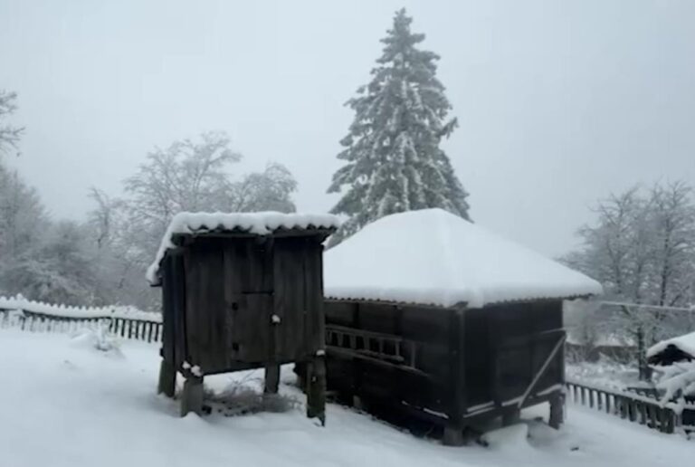 [Aggregator] Downloaded image for imported item #55333