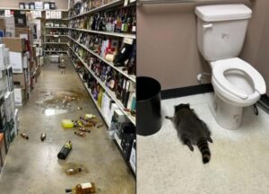 [Aggregator] Downloaded image for imported item #58886