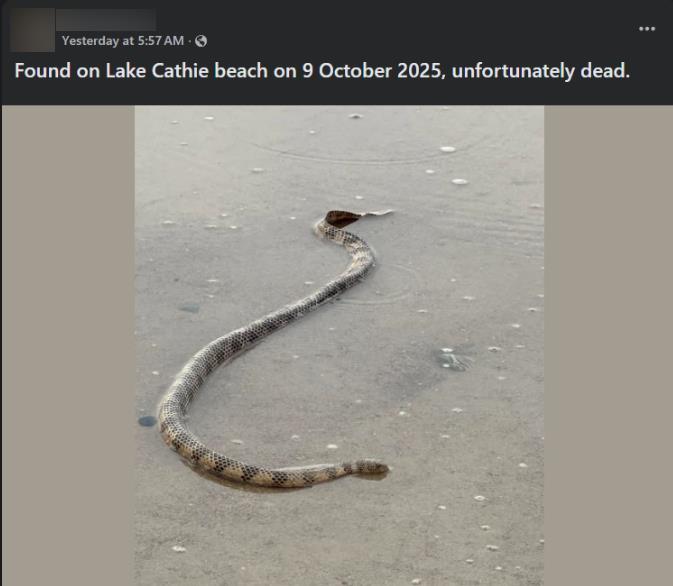 [Aggregator] Downloaded image for imported item #58901