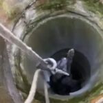 [Aggregator] Downloaded image for imported item #58716