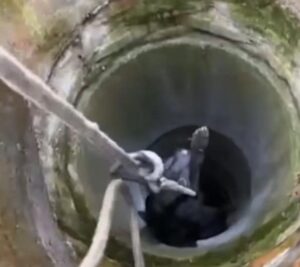 [Aggregator] Downloaded image for imported item #58716