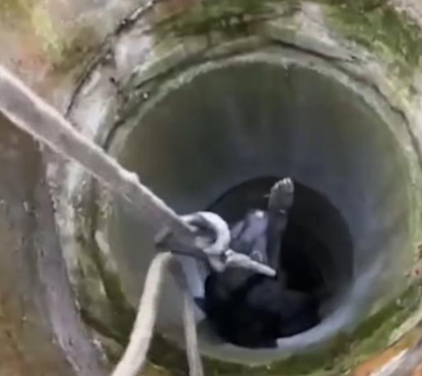 [Aggregator] Downloaded image for imported item #58716