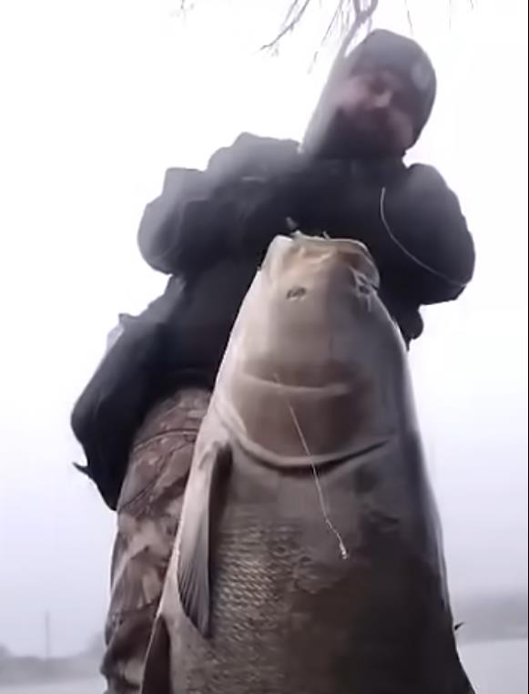 [Aggregator] Downloaded image for imported item #60418