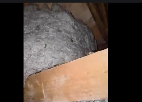 [Aggregator] Downloaded image for imported item #68894