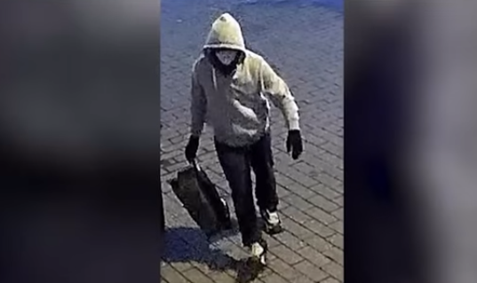 [Aggregator] Downloaded image for imported item #60493