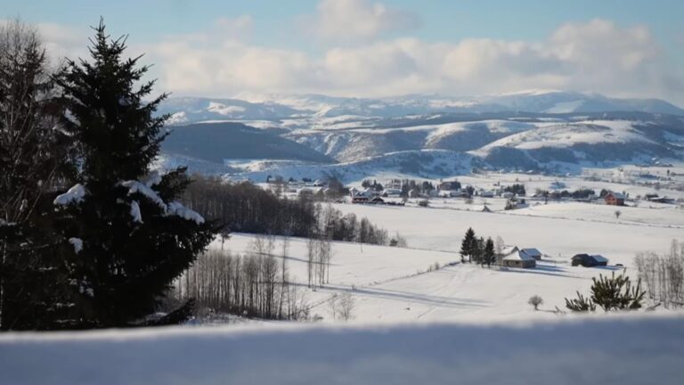 [Aggregator] Downloaded image for imported item #69937