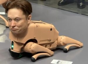 [Aggregator] Downloaded image for imported item #71404