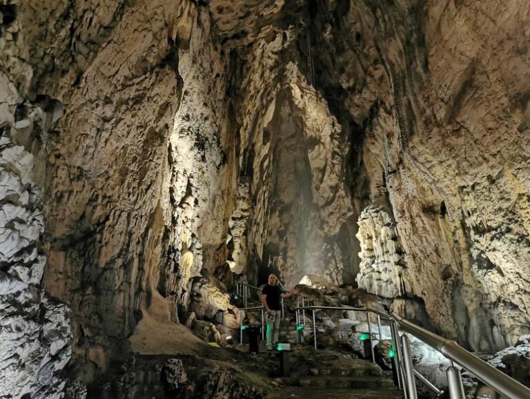 [Aggregator] Downloaded image for imported item #73350