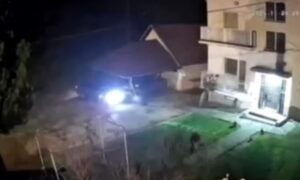 [Aggregator] Downloaded image for imported item #87806