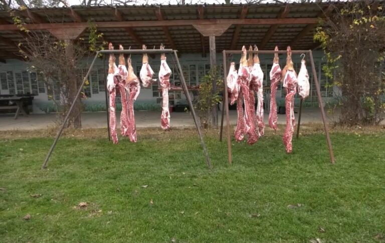 [Aggregator] Downloaded image for imported item #88839