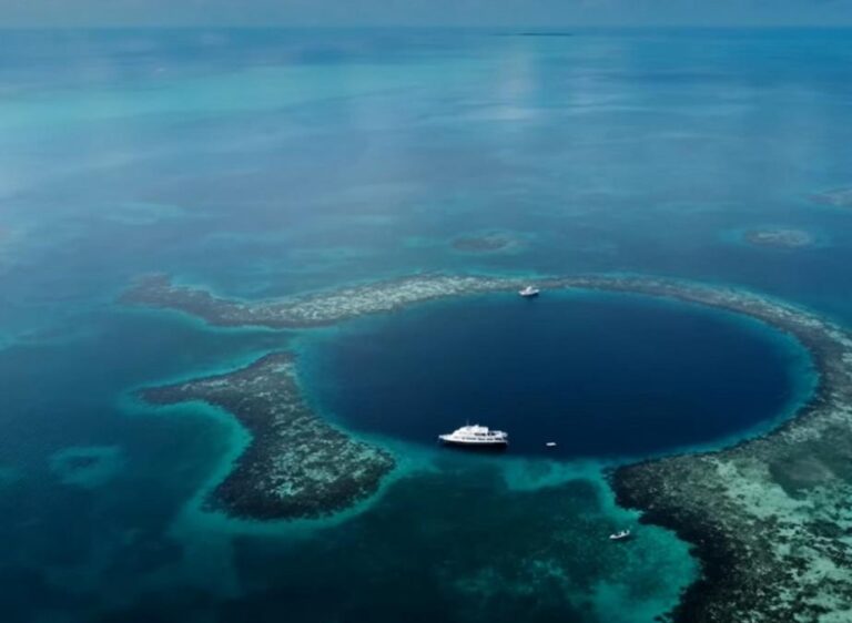 [Aggregator] Downloaded image for imported item #105720