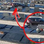 [Aggregator] Downloaded image for imported item #90748