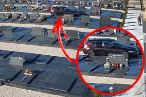 [Aggregator] Downloaded image for imported item #90748