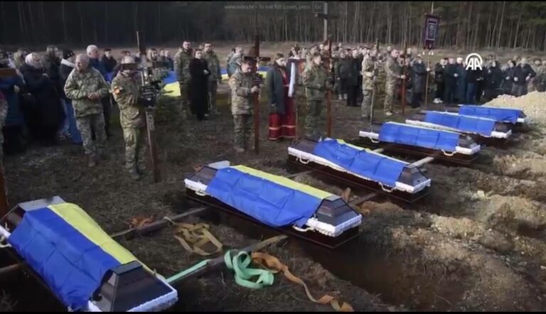 [Aggregator] Downloaded image for imported item #92033