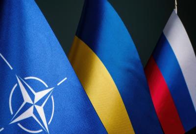 [Aggregator] Downloaded image for imported item #73742