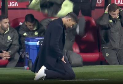 [Aggregator] Downloaded image for imported item #53647