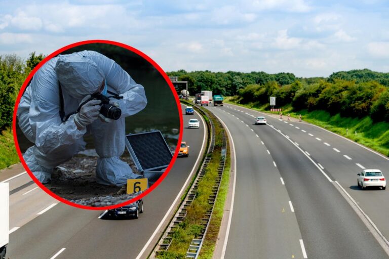 [Aggregator] Downloaded image for imported item #53247