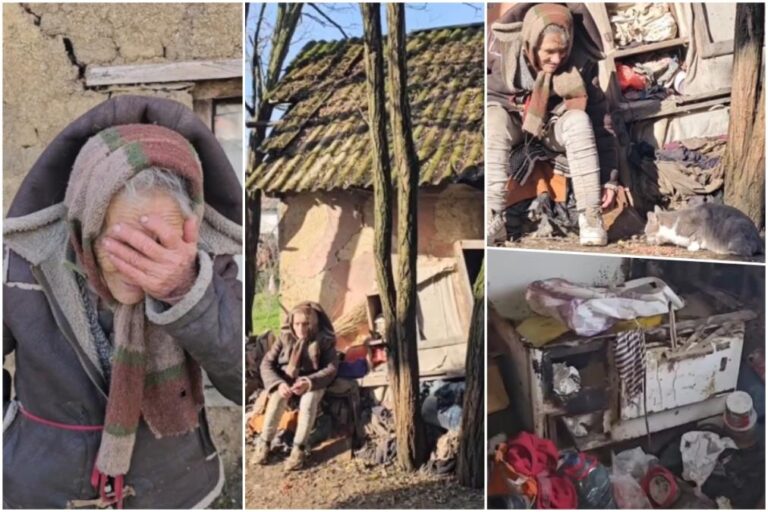 [Aggregator] Downloaded image for imported item #55936