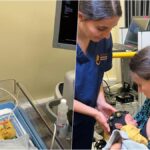 [Aggregator] Downloaded image for imported item #75934