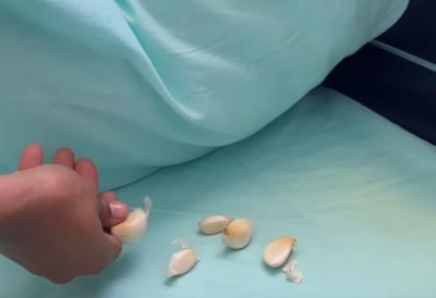 [Aggregator] Downloaded image for imported item #62742