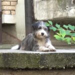 [Aggregator] Downloaded image for imported item #96480