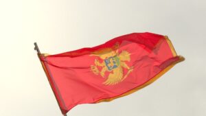 [Aggregator] Downloaded image for imported item #117087