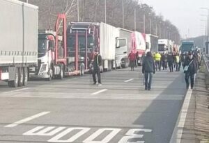 [Aggregator] Downloaded image for imported item #72814