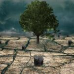 [Aggregator] Downloaded image for imported item #89465